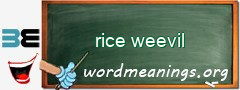 WordMeaning blackboard for rice weevil